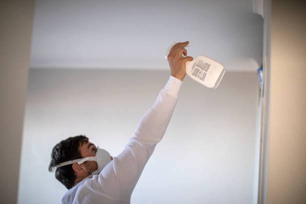 Best Toxic Mold Removal  in Greensboro, MD