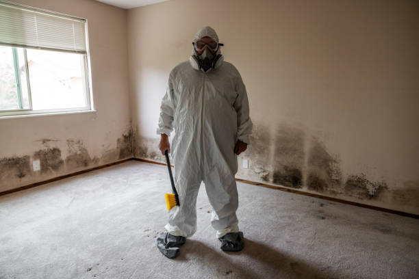 Best Professional Mold Removal  in Greensboro, MD